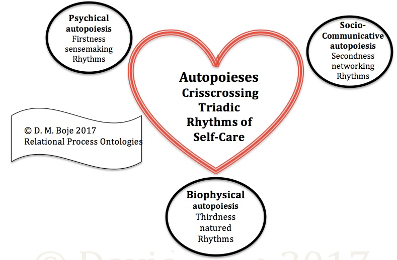 Boje Diagram of autopoieses crisscrossing the
                      heart
